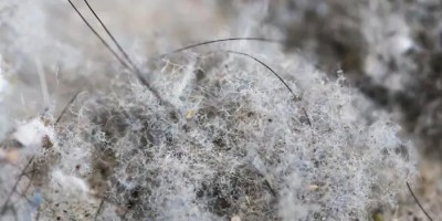 如何确保粉尘传感器数据的可靠性？