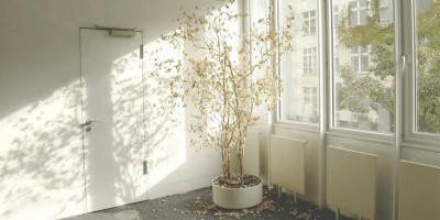 气体传感器：守护你的家庭健康