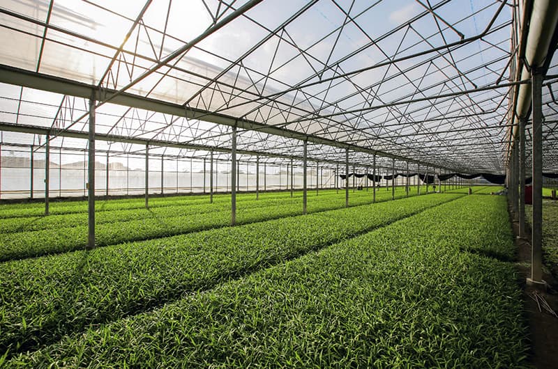温室农业,数字化农业,智能监测,二氧化碳传感器